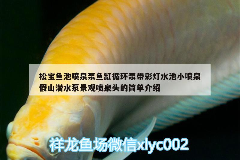 松寶魚池噴泉泵魚缸循環(huán)泵帶彩燈水池小噴泉假山潛水泵景觀噴泉頭的簡單介紹 廣州水族器材濾材批發(fā)市場