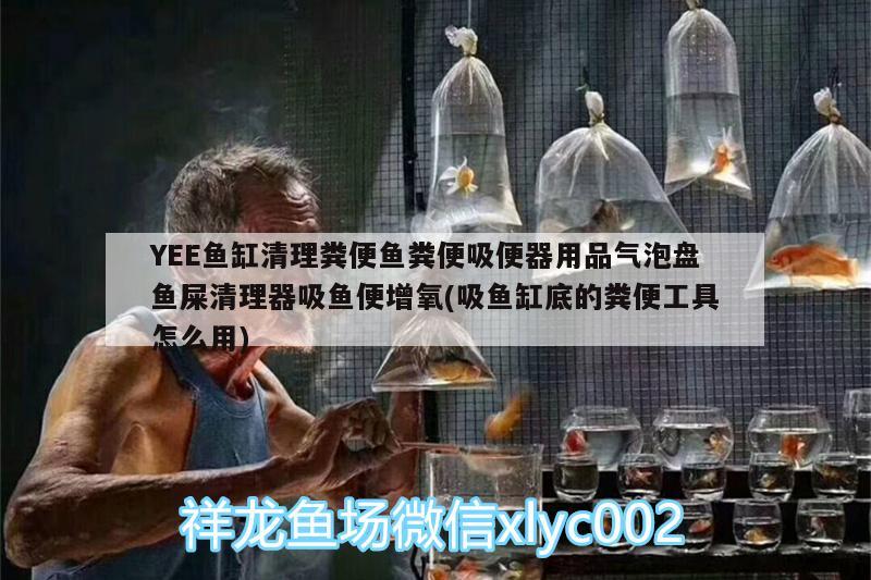 YEE魚缸清理糞便魚糞便吸便器用品氣泡盤魚屎清理器吸魚便增氧(吸魚缸底的糞便工具怎么用)