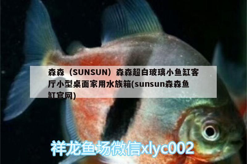 森森（SUNSUN）森森超白玻璃小魚(yú)缸客廳小型桌面家用水族箱(sunsun森森魚(yú)缸官網(wǎng))