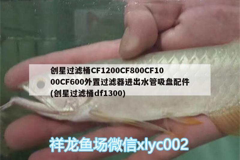 創(chuàng)星過濾桶CF1200CF800CF1000CF600外置過濾器進出水管吸盤配件(創(chuàng)星過濾桶df1300) 廣州水族器材濾材批發(fā)市場 第1張