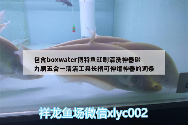 包含boxwater博特魚缸刷清洗神器磁力刷五合一清潔工具長(zhǎng)柄可伸縮神器的詞條 博特水族