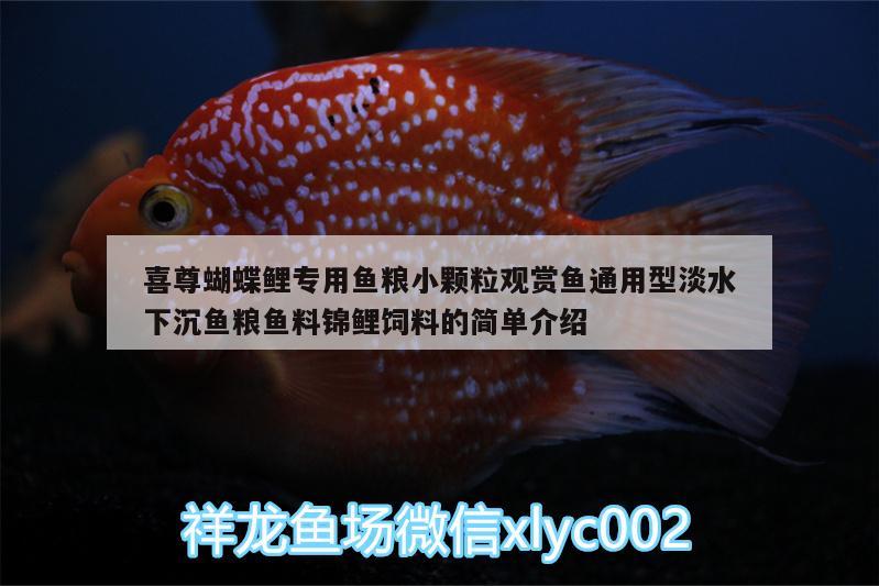 喜尊蝴蝶鯉專用魚糧小顆粒觀賞魚通用型淡水下沉魚糧魚料錦鯉飼料的簡單介紹 蝴蝶鯉