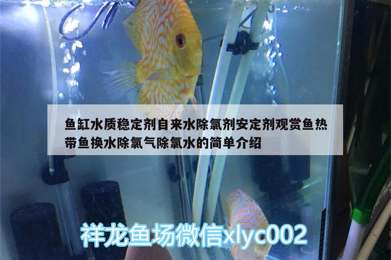 魚缸水質穩(wěn)定劑自來水除氯劑安定劑觀賞魚熱帶魚換水除氯氣除氯水的簡單介紹