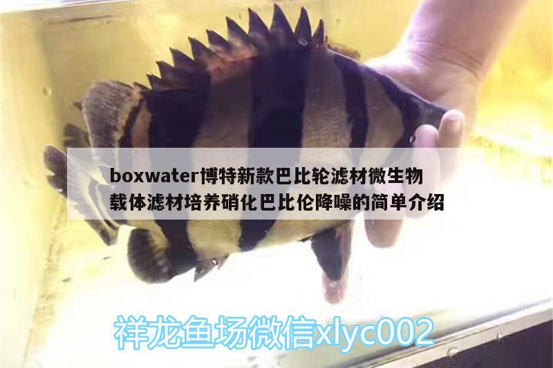 boxwater博特新款巴比輪濾材微生物載體濾材培養(yǎng)硝化巴比倫降噪的簡單介紹 博特水族