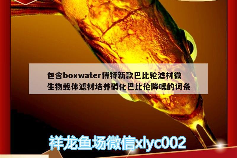 包含boxwater博特新款巴比輪濾材微生物載體濾材培養(yǎng)硝化巴比倫降噪的詞條 博特水族