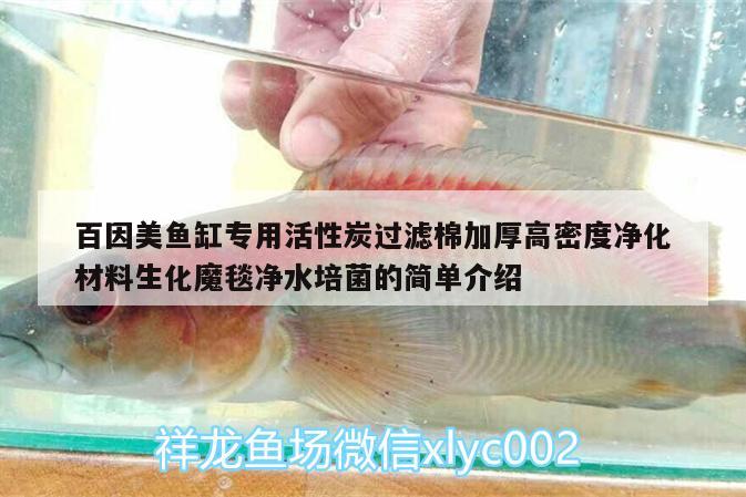 百因美魚缸專用活性炭過濾棉加厚高密度凈化材料生化魔毯凈水培菌的簡單介紹