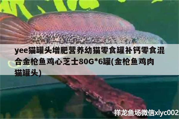 yee貓罐頭增肥營養(yǎng)幼貓零食罐補鈣零食混合金槍魚雞心芝士80G*6罐(金槍魚雞肉貓罐頭)