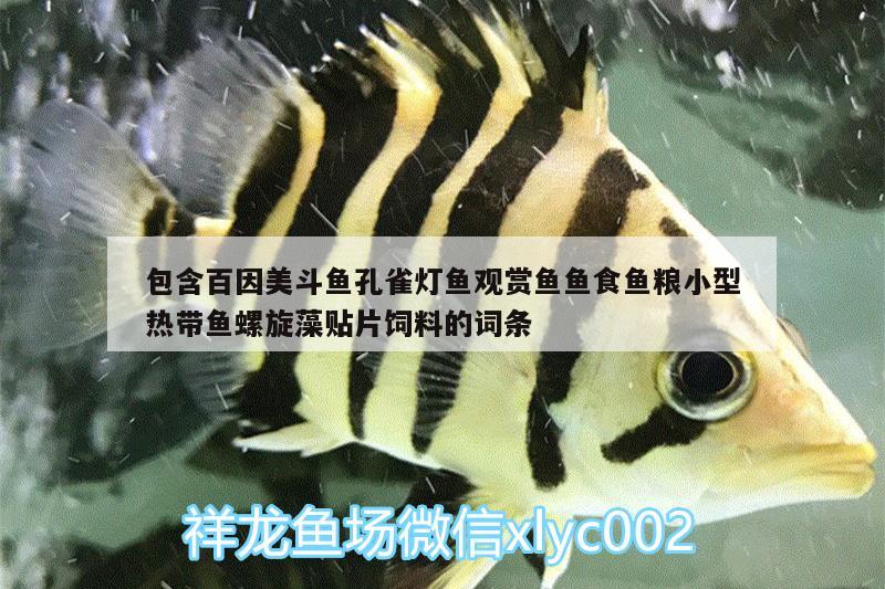 包含百因美斗魚(yú)孔雀燈魚(yú)觀賞魚(yú)魚(yú)食魚(yú)糧小型熱帶魚(yú)螺旋藻貼片飼料的詞條