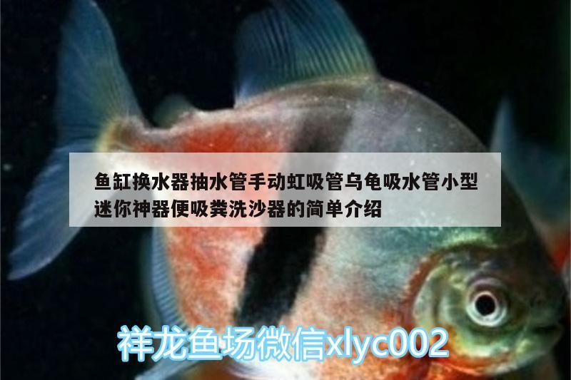 魚缸換水器抽水管手動虹吸管烏龜吸水管小型迷你神器便吸糞洗沙器的簡單介紹 烏龜