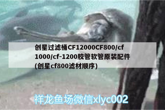 創(chuàng)星過濾桶CF12000CF800/cf1000/cf-1200膠管軟管原裝配件(創(chuàng)星cf800濾材順序) 廣州水族器材濾材批發(fā)市場