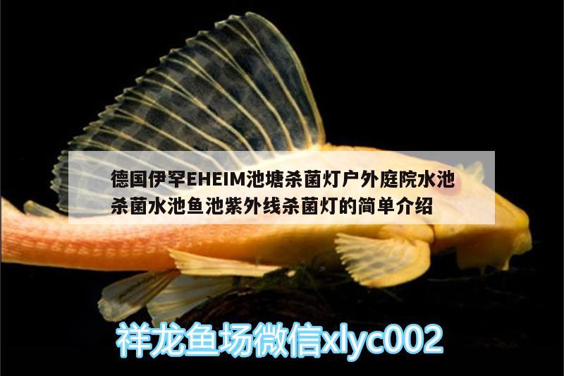 德國伊罕EHEIM池塘殺菌燈戶外庭院水池殺菌水池魚池紫外線殺菌燈的簡單介紹