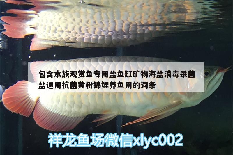 包含水族觀賞魚專用鹽魚缸礦物海鹽消毒殺菌鹽通用抗菌黃粉錦鯉養(yǎng)魚用的詞條