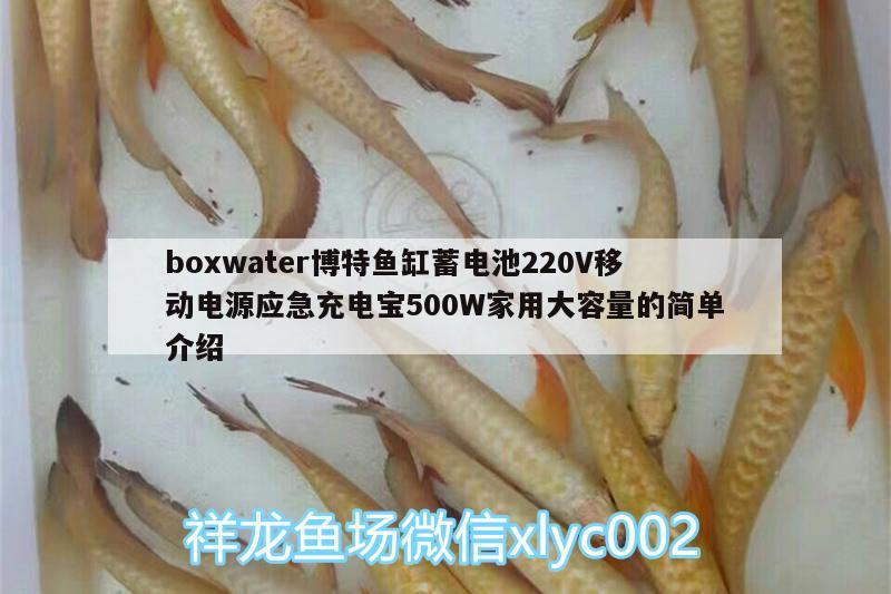 boxwater博特魚缸蓄電池220V移動電源應急充電寶500W家用大容量的簡單介紹 博特水族