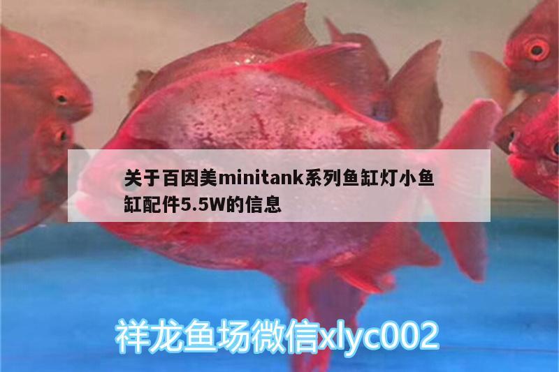 關(guān)于百因美m(xù)initank系列魚缸燈小魚缸配件5.5W的信息