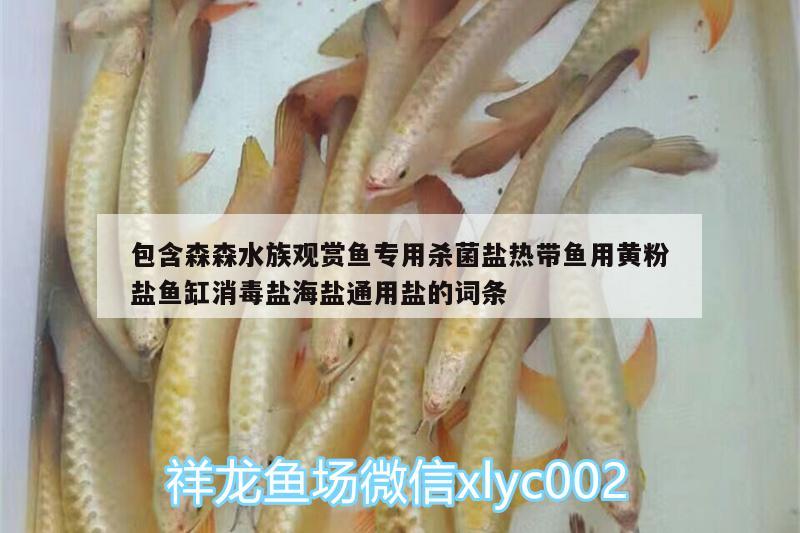 包含森森水族觀賞魚專用殺菌鹽熱帶魚用黃粉鹽魚缸消毒鹽海鹽通用鹽的詞條