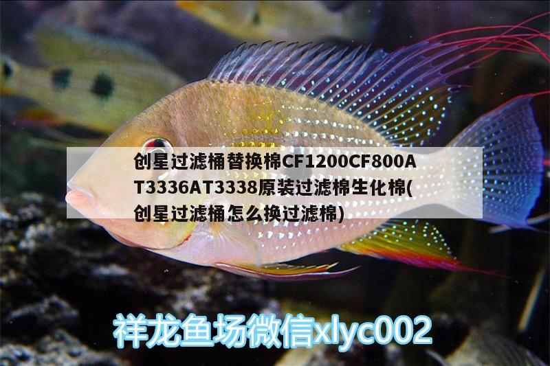 創(chuàng)星過濾桶替換棉CF1200CF800AT3336AT3338原裝過濾棉生化棉(創(chuàng)星過濾桶怎么換過濾棉)