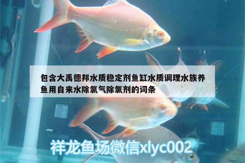 包含大禹德邦水質(zhì)穩(wěn)定劑魚缸水質(zhì)調(diào)理水族養(yǎng)魚用自來水除氯氣除氯劑的詞條 廣州水族器材濾材批發(fā)市場