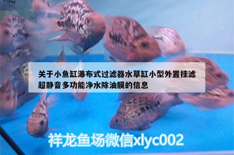 關(guān)于小魚缸瀑布式過濾器水草缸小型外置掛濾超靜音多功能凈水除油膜的信息 水草