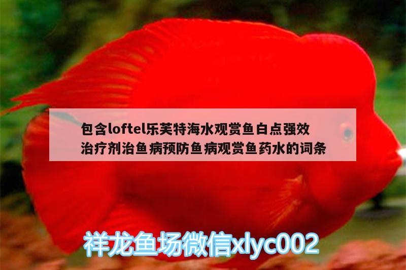 包含loftel樂(lè)芙特海水觀賞魚(yú)白點(diǎn)強(qiáng)效治療劑治魚(yú)病預(yù)防魚(yú)病觀賞魚(yú)藥水的詞條