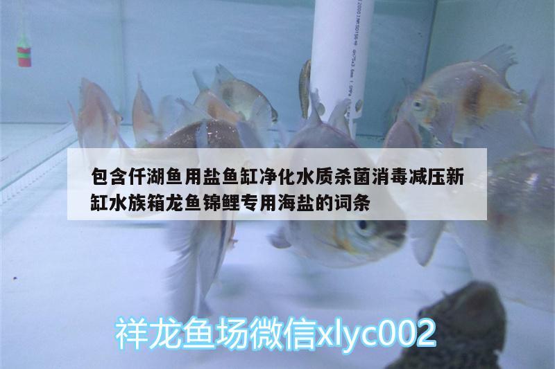 包含仟湖魚用鹽魚缸凈化水質(zhì)殺菌消毒減壓新缸水族箱龍魚錦鯉專用海鹽的詞條 仟湖