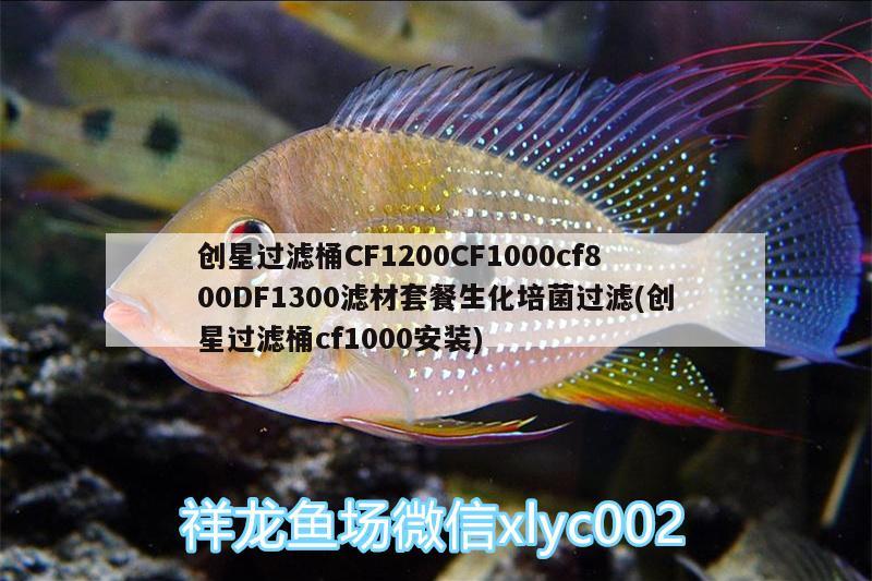 創(chuàng)星過濾桶CF1200CF1000cf800DF1300濾材套餐生化培菌過濾(創(chuàng)星過濾桶cf1000安裝) 廣州水族器材濾材批發(fā)市場