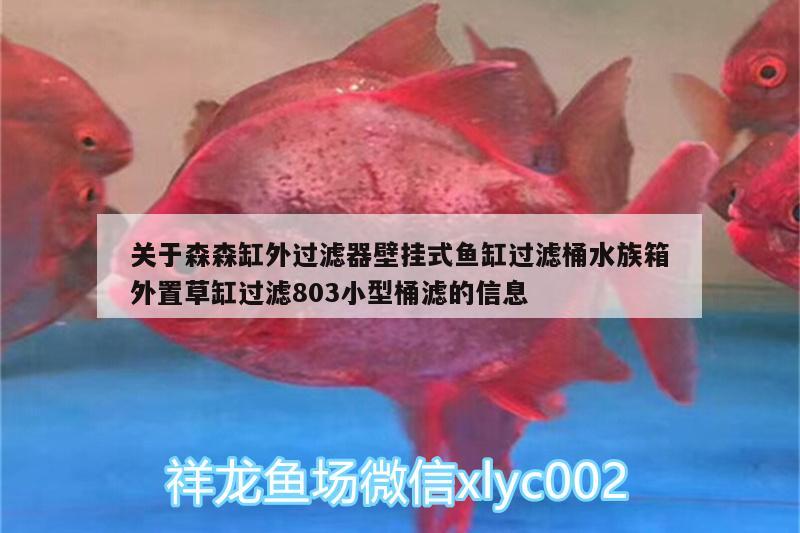 關(guān)于森森缸外過濾器壁掛式魚缸過濾桶水族箱外置草缸過濾803小型桶濾的信息