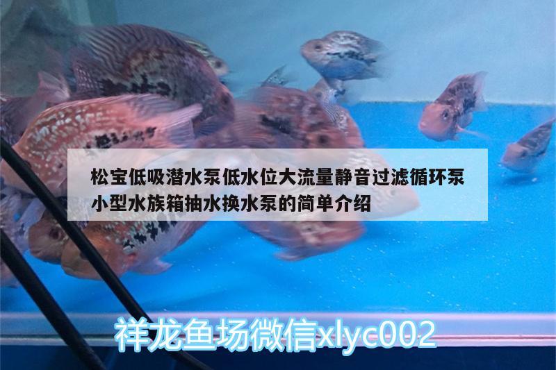 松寶低吸潛水泵低水位大流量靜音過濾循環(huán)泵小型水族箱抽水換水泵的簡單介紹 魚缸/水族箱