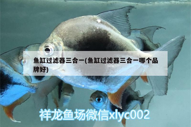 魚缸過濾器三合一(魚缸過濾器三合一哪個品牌好)