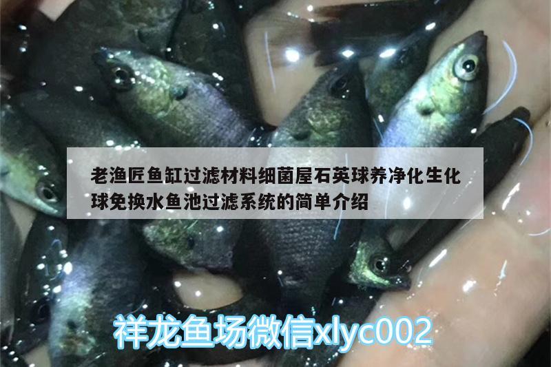 老漁匠魚(yú)缸過(guò)濾材料細(xì)菌屋石英球養(yǎng)凈化生化球免換水魚(yú)池過(guò)濾系統(tǒng)的簡(jiǎn)單介紹 廣州水族器材濾材批發(fā)市場(chǎng)