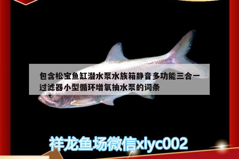 包含松寶魚缸潛水泵水族箱靜音多功能三合一過濾器小型循環(huán)增氧抽水泵的詞條 魚缸/水族箱