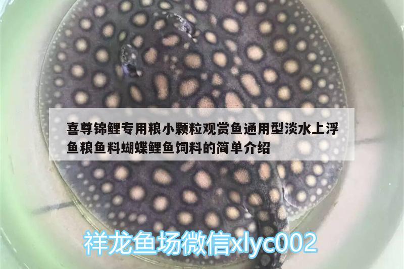 喜尊錦鯉專用糧小顆粒觀賞魚通用型淡水上浮魚糧魚料蝴蝶鯉魚飼料的簡(jiǎn)單介紹 蝴蝶鯉