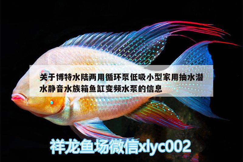 關于博特水陸兩用循環(huán)泵低吸小型家用抽水潛水靜音水族箱魚缸變頻水泵的信息 博特水族