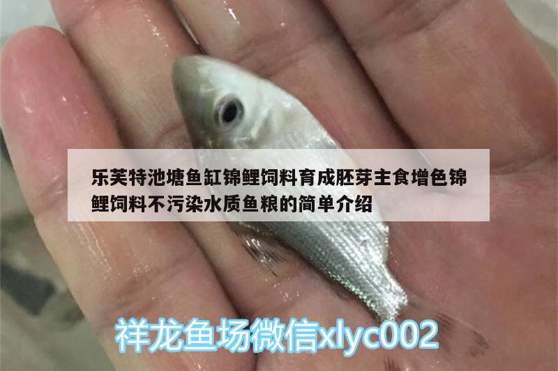 樂芙特池塘魚缸錦鯉飼料育成胚芽主食增色錦鯉飼料不污染水質(zhì)魚糧的簡(jiǎn)單介紹 廣州水族器材濾材批發(fā)市場(chǎng)