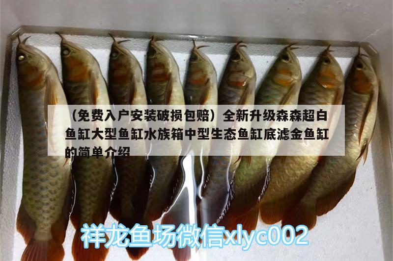 （免費(fèi)入戶安裝破損包賠）全新升級森森超白魚缸大型魚缸水族箱中型生態(tài)魚缸底濾金魚缸的簡單介紹