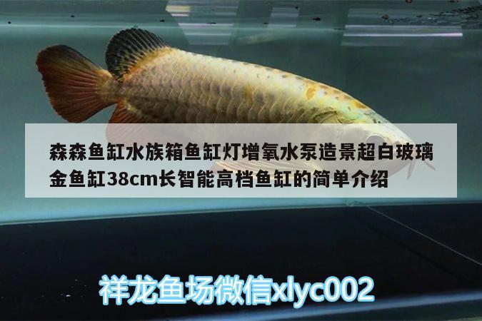 森森魚(yú)缸水族箱魚(yú)缸燈增氧水泵造景超白玻璃金魚(yú)缸38cm長(zhǎng)智能高檔魚(yú)缸的簡(jiǎn)單介紹