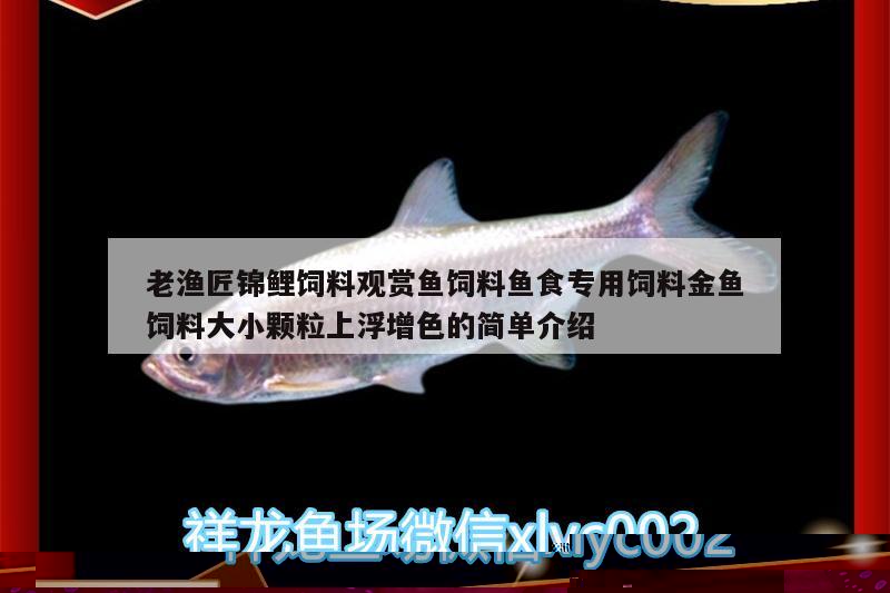 老漁匠錦鯉飼料觀賞魚(yú)飼料魚(yú)食專(zhuān)用飼料金魚(yú)飼料大小顆粒上浮增色的簡(jiǎn)單介紹 廣州水族器材濾材批發(fā)市場(chǎng)