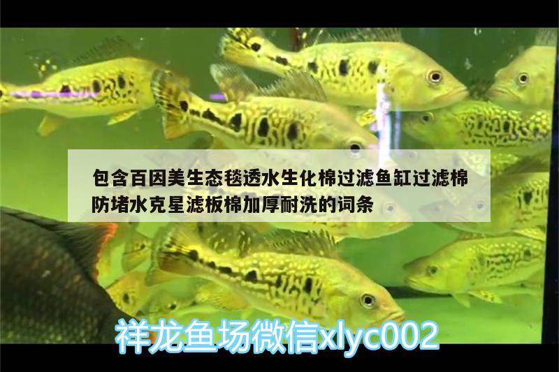 包含百因美生態(tài)毯透水生化棉過濾魚缸過濾棉防堵水克星濾板棉加厚耐洗的詞條