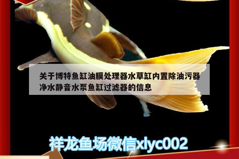 關(guān)于博特魚缸油膜處理器水草缸內(nèi)置除油污器凈水靜音水泵魚缸過濾器的信息 博特水族