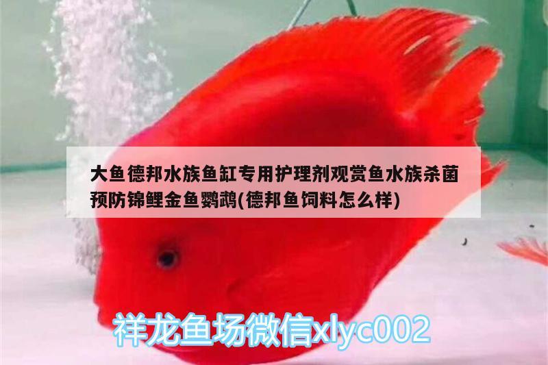 大魚德邦水族魚缸專用護(hù)理劑觀賞魚水族殺菌預(yù)防錦鯉金魚鸚鵡(德邦魚飼料怎么樣) 鸚鵡魚