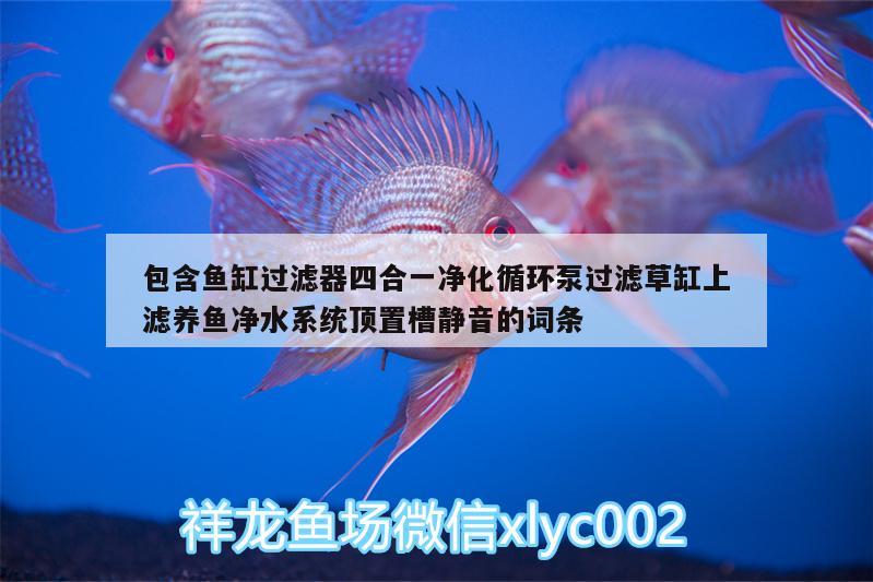 包含魚缸過濾器四合一凈化循環(huán)泵過濾草缸上濾養(yǎng)魚凈水系統(tǒng)頂置槽靜音的詞條 廣州水族器材濾材批發(fā)市場