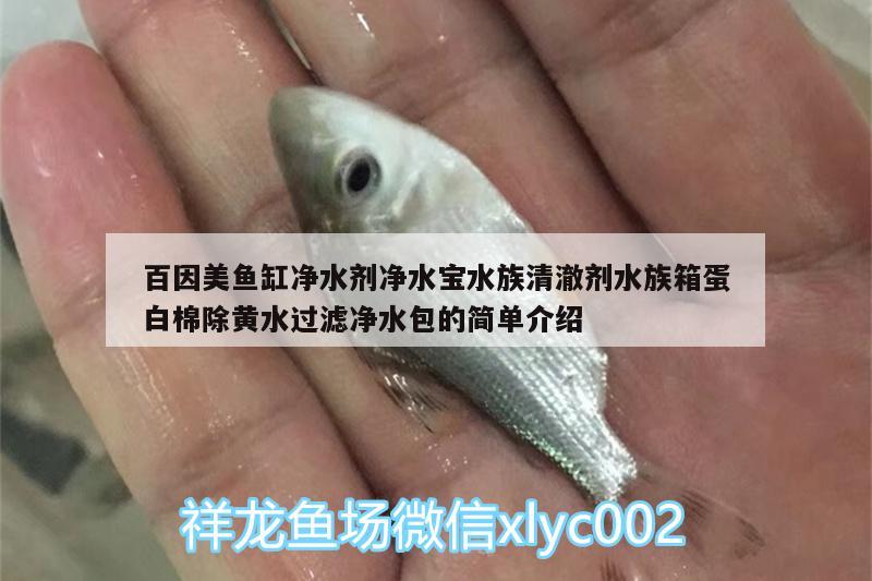 百因美魚缸凈水劑凈水寶水族清澈劑水族箱蛋白棉除黃水過濾凈水包的簡單介紹