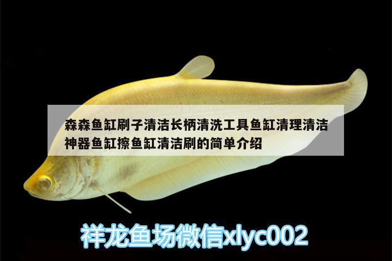 森森魚(yú)缸刷子清潔長(zhǎng)柄清洗工具魚(yú)缸清理清潔神器魚(yú)缸擦魚(yú)缸清潔刷的簡(jiǎn)單介紹