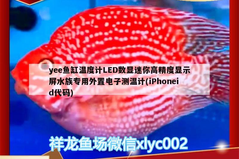 yee魚缸溫度計(jì)LED數(shù)顯迷你高精度顯示屏水族專用外置電子測(cè)溫計(jì)(iPhoneid代碼)