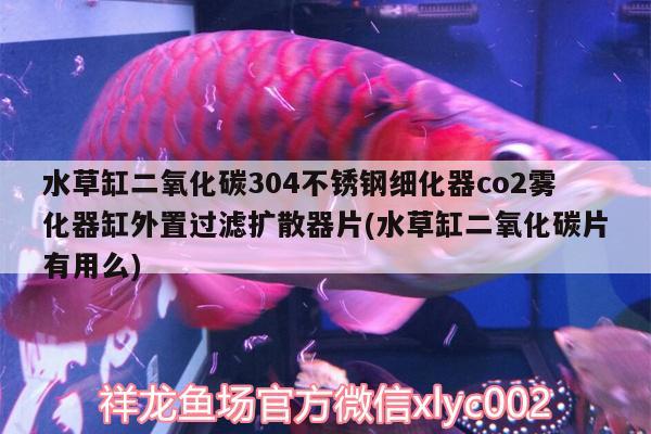 水草缸二氧化碳304不銹鋼細(xì)化器co2霧化器缸外置過濾擴(kuò)散器片(水草缸二氧化碳片有用么)