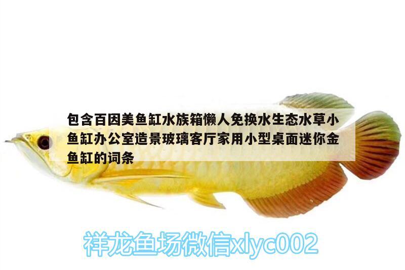 包含百因美魚(yú)缸水族箱懶人免換水生態(tài)水草小魚(yú)缸辦公室造景玻璃客廳家用小型桌面迷你金魚(yú)缸的詞條 魚(yú)缸/水族箱