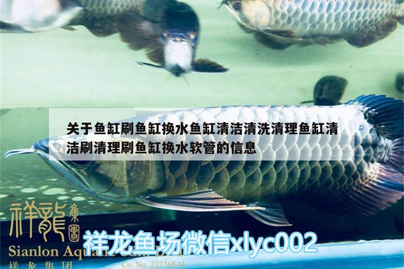 關(guān)于魚缸刷魚缸換水魚缸清潔清洗清理魚缸清潔刷清理刷魚缸換水軟管的信息 廣州水族器材濾材批發(fā)市場