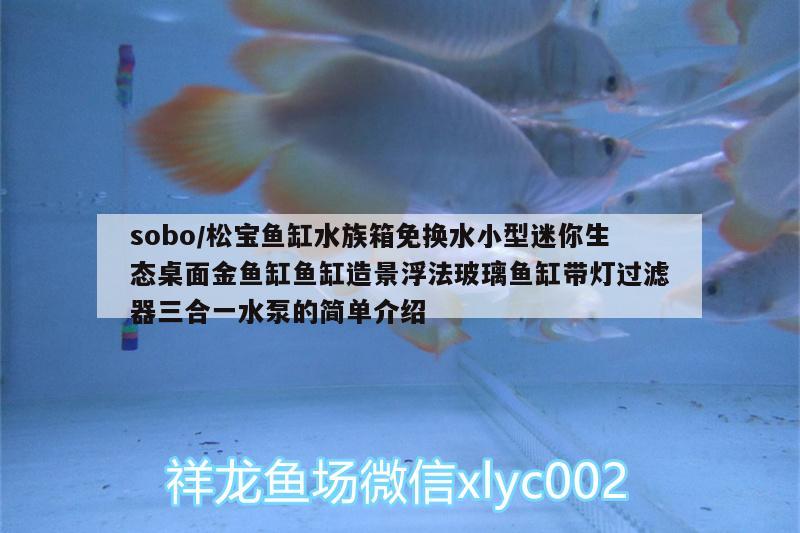 sobo/松寶魚缸水族箱免換水小型迷你生態(tài)桌面金魚缸魚缸造景浮法玻璃魚缸帶燈過濾器三合一水泵的簡單介紹 魚缸/水族箱