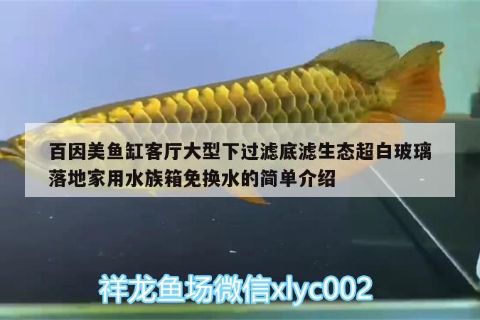 百因美魚缸客廳大型下過濾底濾生態(tài)超白玻璃落地家用水族箱免換水的簡單介紹 魚缸/水族箱