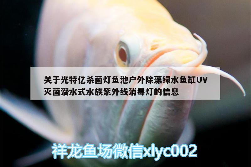 關于光特億殺菌燈魚池戶外除藻綠水魚缸UV滅菌潛水式水族紫外線消毒燈的信息 光特億