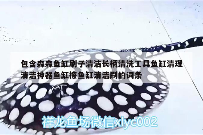 包含森森魚(yú)缸刷子清潔長(zhǎng)柄清洗工具魚(yú)缸清理清潔神器魚(yú)缸擦魚(yú)缸清潔刷的詞條